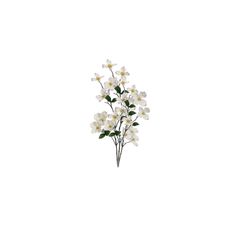 a bunch of white flowers on a white background