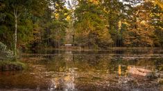 a small lake surrounded by trees in the fall