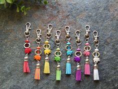 six key chains with tassels on them sitting on a rock next to a plant