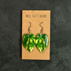 These cute lightweight earrings are a double sided design! Same design front and back. The leaf is about 1 in long and are made with polystyrene plastic and resin for a shiny durable finish. The earring hooks are made of nickel & lead free metal alloy. All earrings are handcrafted and may feature minor imperfections. However, I always strive to create a meticulously finished, polished product. Trendy Leaf-shaped Jewelry Gift, Trendy Leaf-shaped Earrings For Gifts, Trendy Handmade Leaf-shaped Earrings, Trendy Green Leaf-shaped Jewelry, Green Leaf-shaped Earrings For Gift, Green Leaf-shaped Earrings As A Gift, Plant Lover Gifts, Golden Pothos, Plant Jewelry