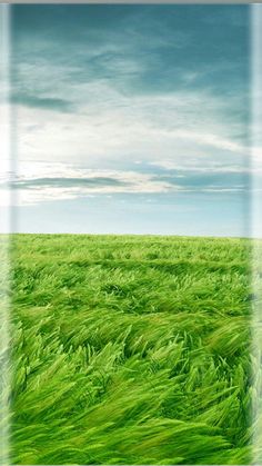 an open field with green grass under a cloudy sky