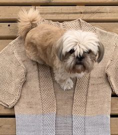 a small dog wearing a sweater on top of a wooden bench with it's head sticking out