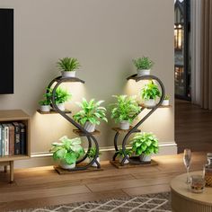 three potted plants are arranged in the shape of a heart on top of a shelf