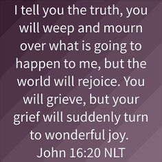 john 16 20 with the words i tell you the truth, you will veep and mourn over what is going to happen