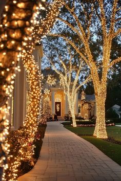 lighted trees line the walkway in front of a house