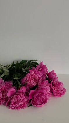 pink peonies are arranged on a white surface