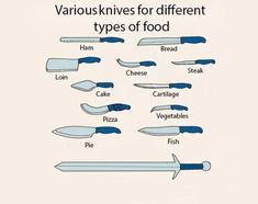 various types of different types of food on a white background with words describing the differences between them