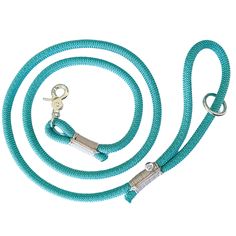 a blue leash with two metal hooks on it