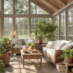 a living room filled with lots of furniture and plants on top of it's windows