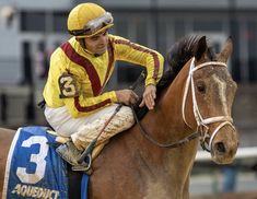 a man riding on the back of a brown horse