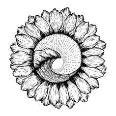 a drawing of a sunflower with a wave coming out of it's center