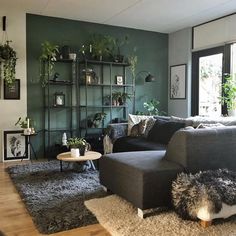 a living room filled with furniture and lots of plants on the wall above it's shelves