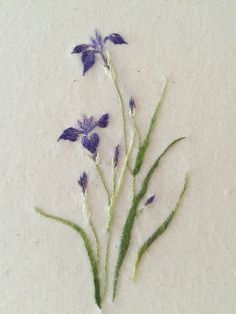 some purple flowers are on the white surface