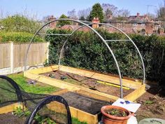 an outdoor garden area with various plants in it