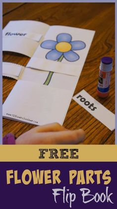 flower parts flip book for kids to make