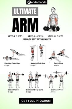 the ultimate arm workout guide for beginners to gain muscle muscles and build arms with this simple