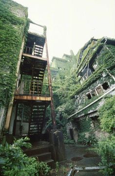 an abandoned building with stairs leading up to the second floor and green vegetation growing all over it