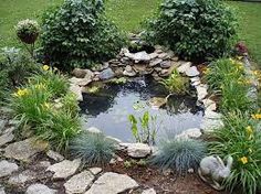 a pond surrounded by rocks and plants in the middle of a yard with yellow flowers