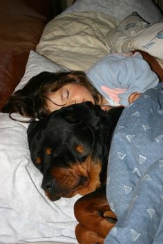 Dog Behavior, Doberman, 귀여운 동물, Rottweiler, I Love Dogs, Dog Bed