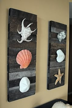 three seashells and starfish are mounted on the wall above a crib