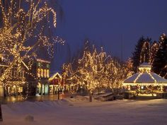 christmas lights on trees and buildings in the snow