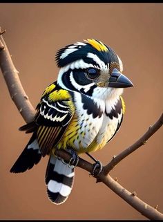 a colorful bird sitting on top of a tree branch in front of a brown background