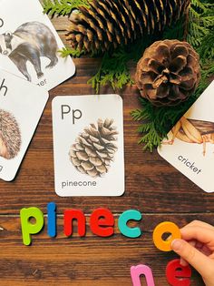 the word pinecone is spelled out with wooden letters and pictures of different animals