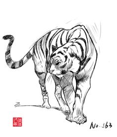 a pencil drawing of a tiger walking across a white ground with chinese characters on it