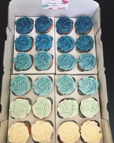 cupcakes with blue and white frosting in a box