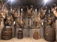 several deer heads mounted on the wall next to barrels