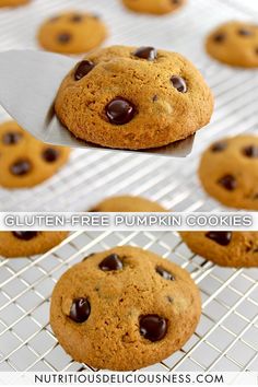 chocolate chip cookies on a cooling rack with the words gluten - free pumpkin cookies