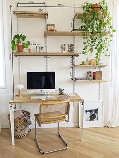 a home office with shelves and plants on the wall, along with a computer desk