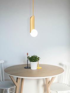 a table with two white chairs and a potted plant on it, hanging from the ceiling