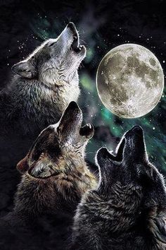 three wolfs looking up at the moon with an elvis on it's face