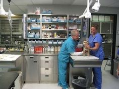 two veterinas and a dog are in the operating room with equipment on shelves