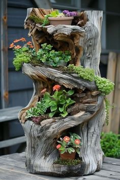 a tree stump with plants growing out of it