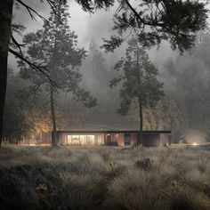 a house in the middle of a foggy forest with lights shining on it's windows