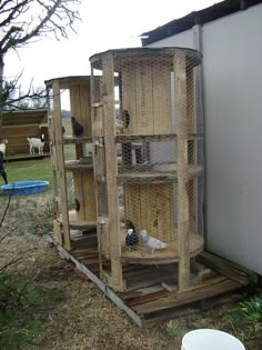 several birds in cages sitting on top of wooden pallets outside the house with one bird inside