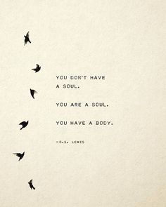 birds flying in the air with a quote written on it that says you don't have a soul, you are a soul, you have a body