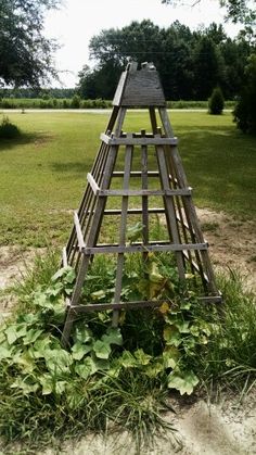 a wooden structure with plants growing out of it in the sand near trees and grass