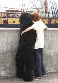 a boy hugging a large black dog on the side of a wall next to a boat