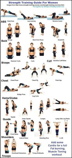 Strength training guide for women. Weight Training Women, Strength Training Guide, Weights Workout For Women, Fitness Studio Training, Strength Training For Beginners, Beginner Workouts, Trening Fitness, Strength Training Workouts