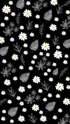 white daisies and leaves on black background