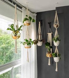 macrame plant hangers are hung on the wall in front of a window