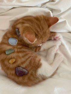 an orange and white cat laying on top of a bed covered in white sheeting