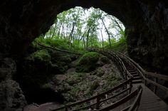 a train track going through a tunnel in the woods