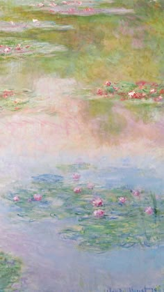 water lilies and other flowers in a pond