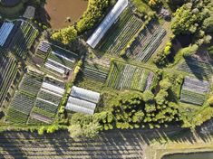 an aerial view of a farm with lots of trees and water in the background,