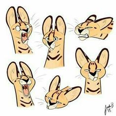 an image of a cartoon animal character making funny faces with their hands and eyes open