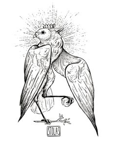 a black and white drawing of a bird